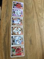Panini extra Sticker