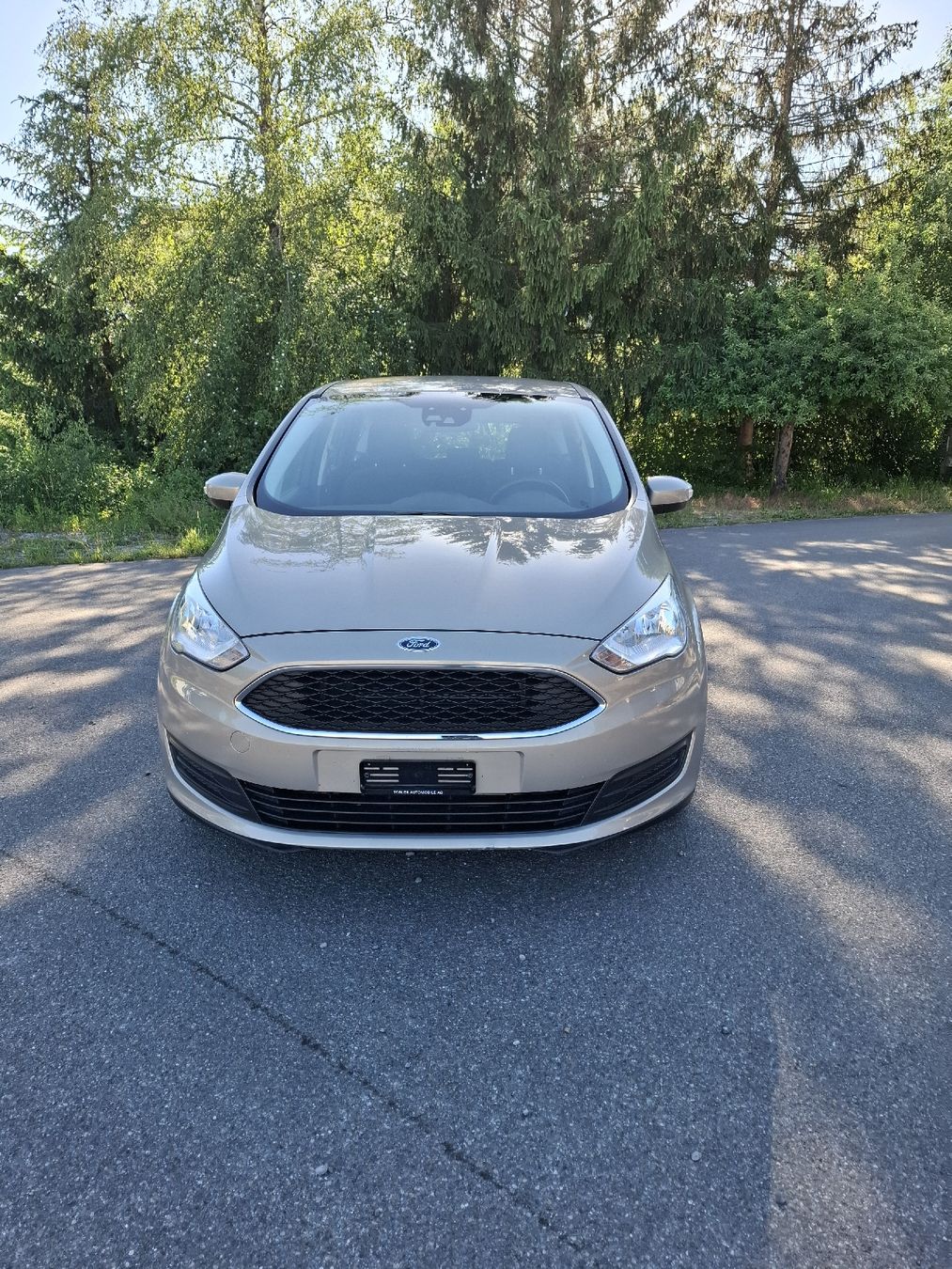 Ford Automobili: Ford C-Max – Usato da Braunau venduto da Bambi125 6