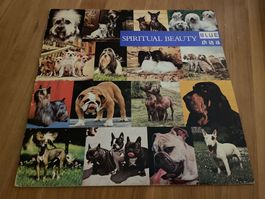 BLUE CHINA: SPIRITUAL BEAUTY (LP) *SWISS NEW WAVE/GOTH ROCK*