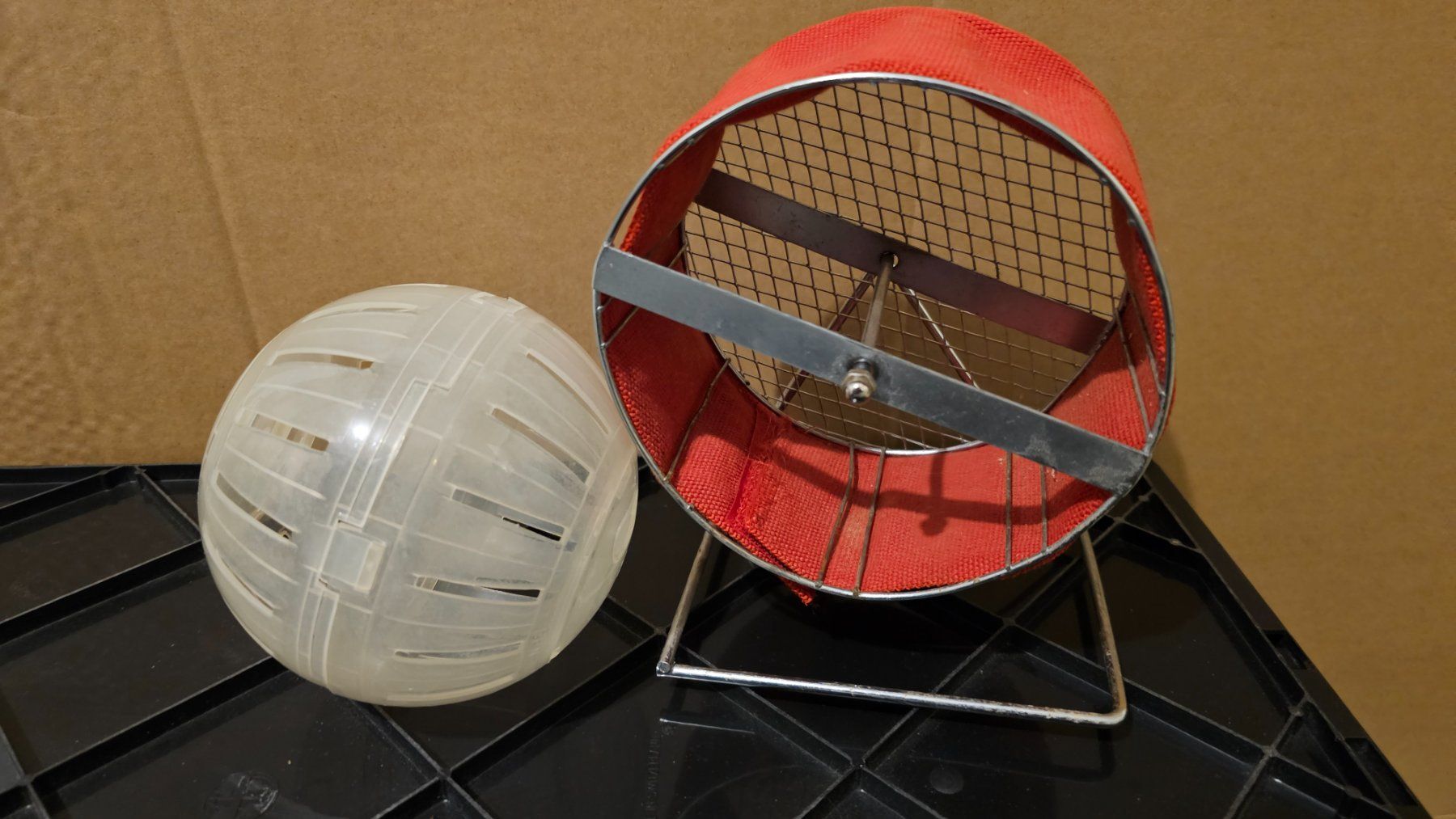 Cucce & Letti: Hamsterkugel und Hamsterrad – Usato da Arbon venduto da Flyaway8