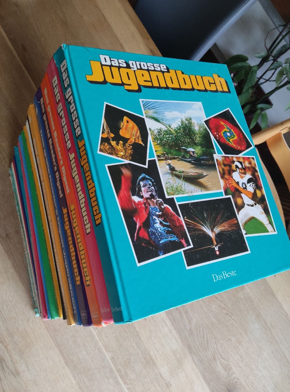 Bücher: Sammlung Das grosse Reader‘s Digest Jugendbuch - 18 Ausgaben – Gebraucht aus Zofingen von Justice79 1