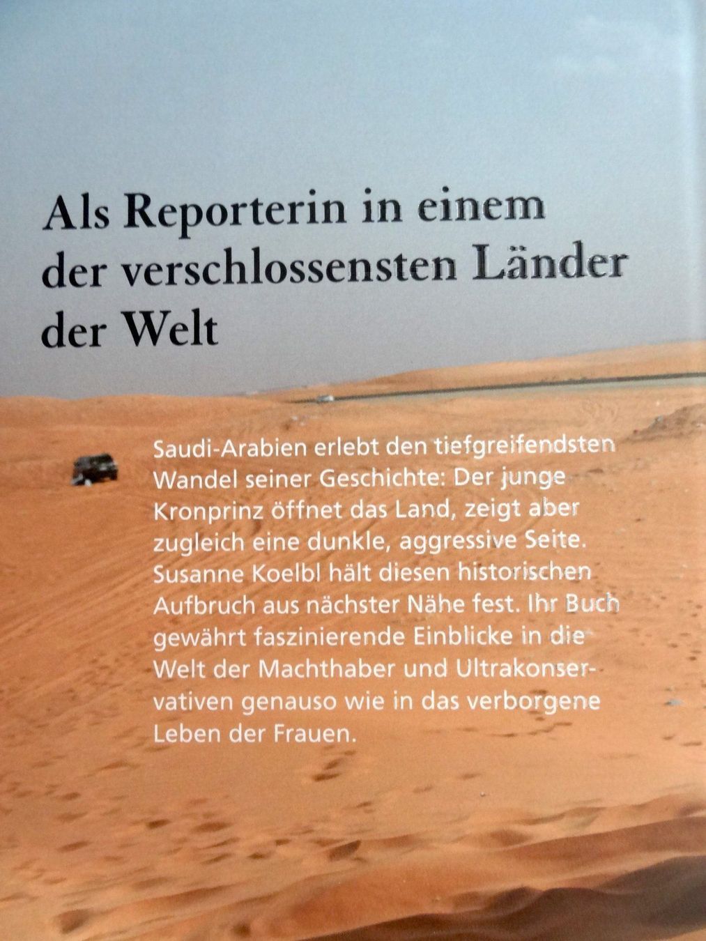 Libri: ZWÖLF WOCHEN IN RIAD – Nuovo (secondo la descrizione) da Scherz venduto da Atopolino 1