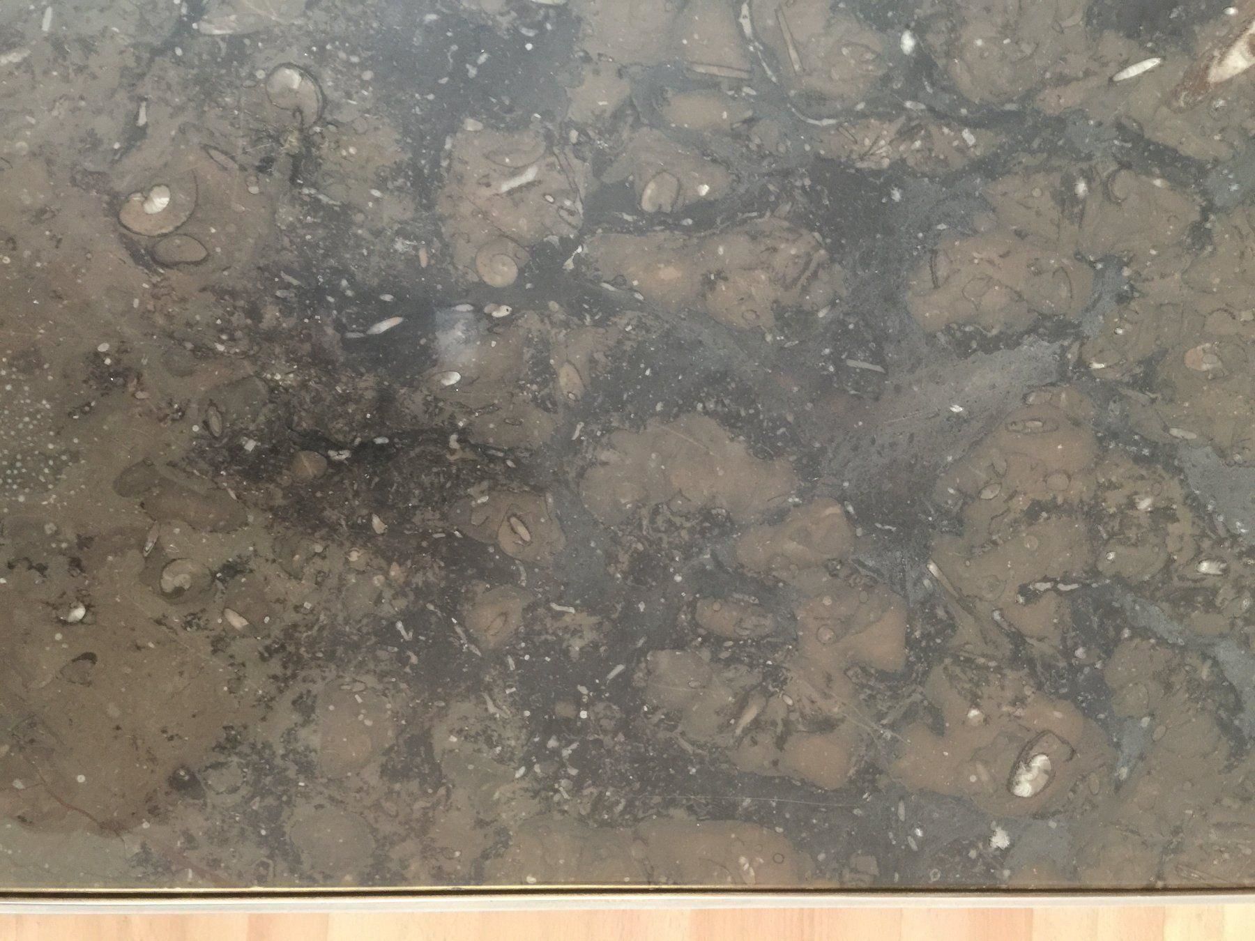 Tavoli: Salon-Tisch  COLLECTION-FOSSILE – Usato da Strengelbach venduto da Aglioorsino 4