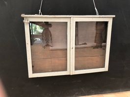 Vintage Schaufensterkasten aus Holz