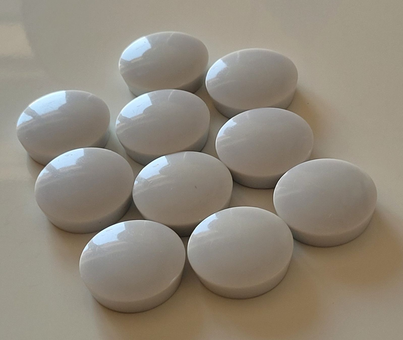 Calamite: 10 Stk. Magnete Weiss glänzend – Usato da Zürich venduto da fourpaws 1