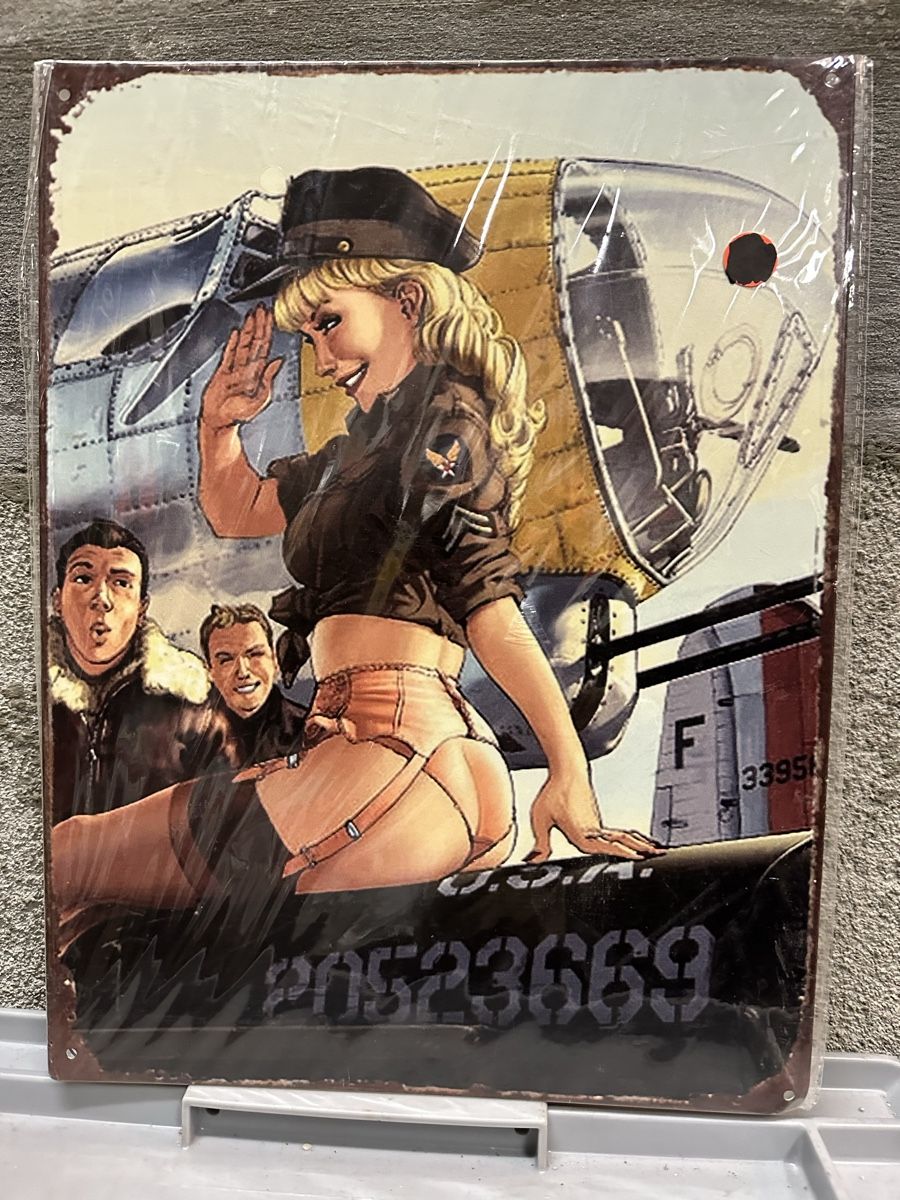 Insegne: Pin up aero bomber – Nuovo (secondo la descrizione) da Reinach AG venduto da rares75