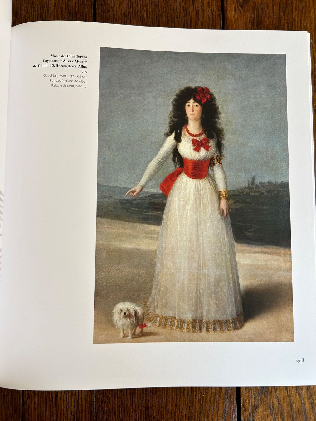 Libri: Fondation Beyeler: Goya – Usato da Basel venduto da Peter_schlemihl 9