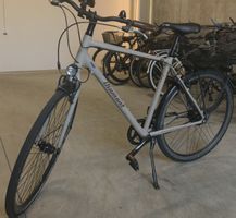 Diamant 885 City Velo Beige