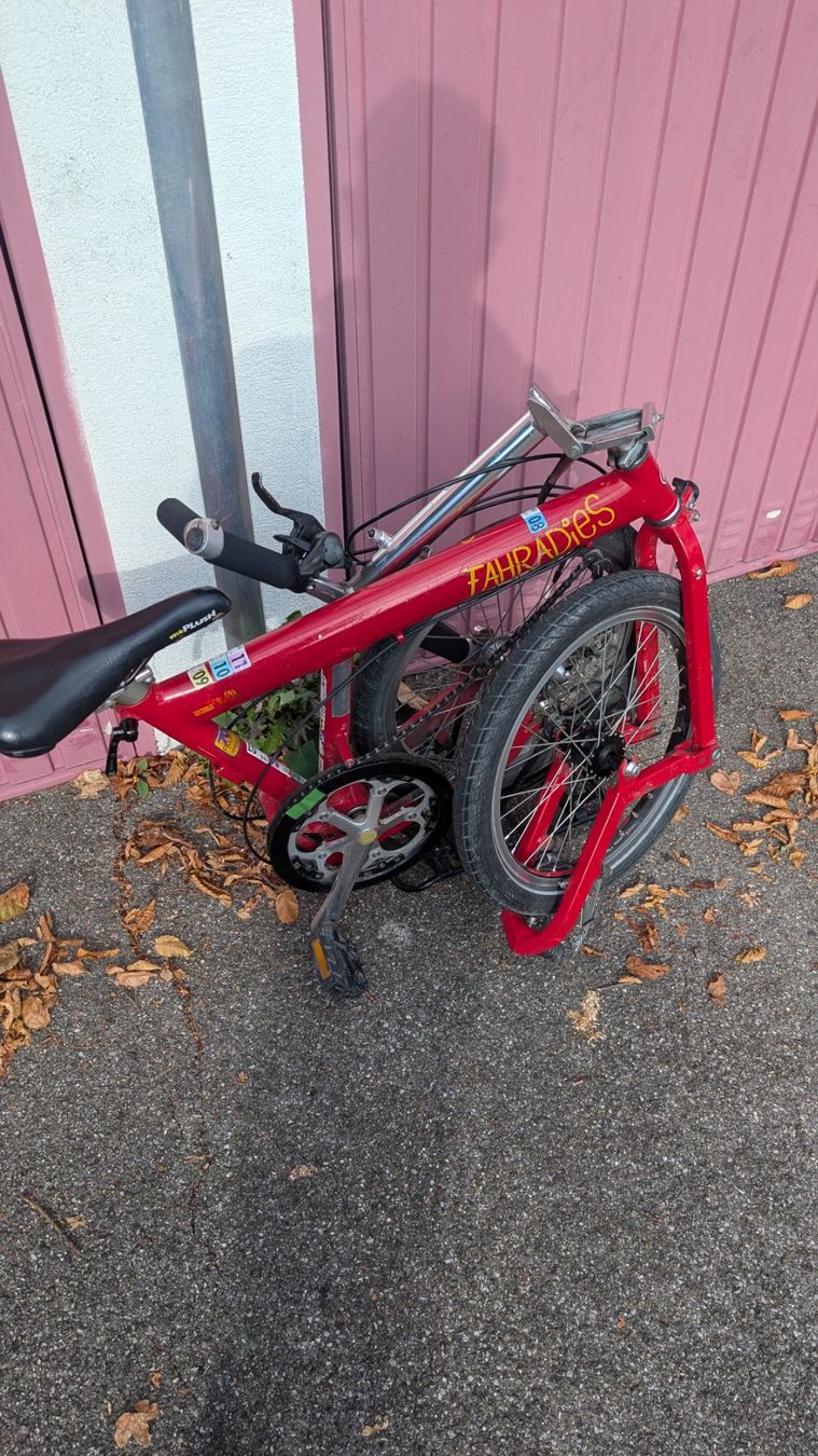 Riese & Müller Biciclette: Birdy Riese&Müller Faltrad – Usato da solothurn venduto da fothfoth 3