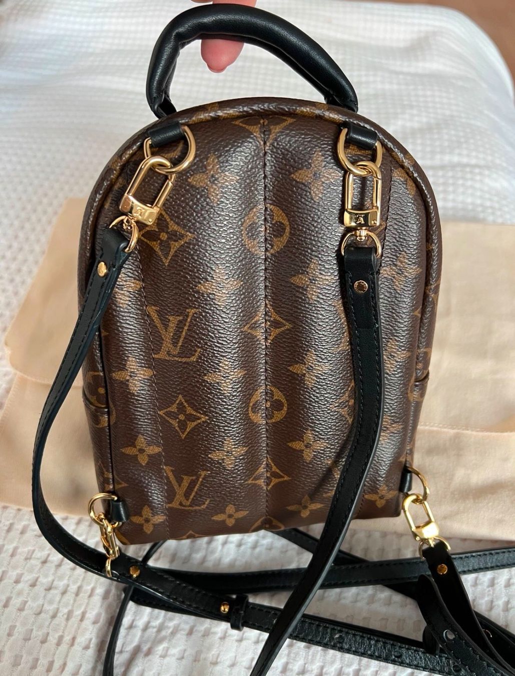 Louis Vuitton Rucksäcke: Louis Vuitton Palm Springs Mini – Gebraucht aus Riehen von karolina3 1