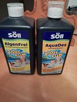 Pool Reinigung
