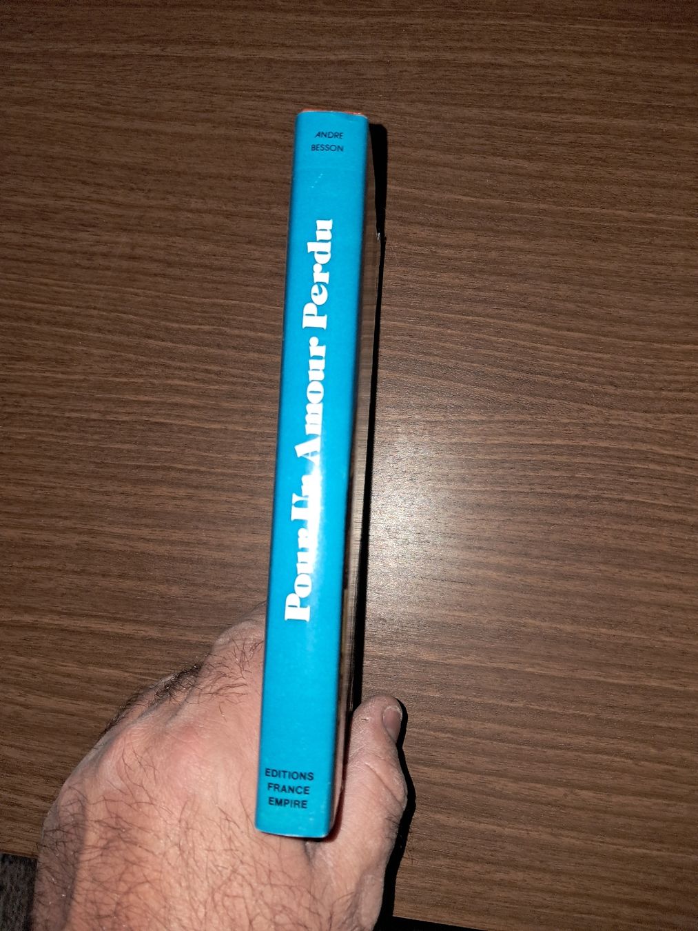 Libri: Pour un amour perdu de andre besson – Usato da Le locle venduto da juliensaran 3