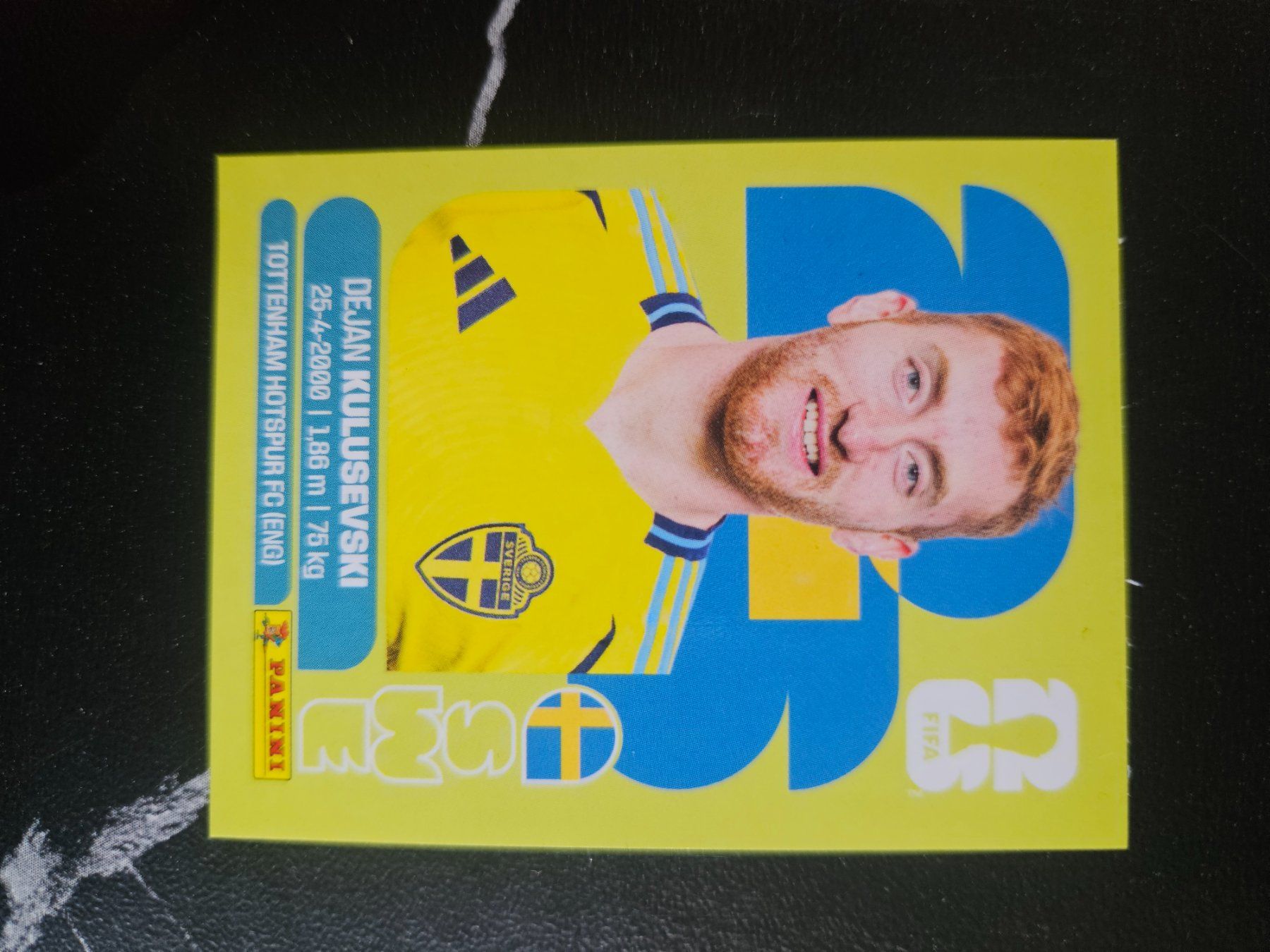 Panini Cartes à collectionner: SWE 17 – D'occasion à Würenlingen par Dinli