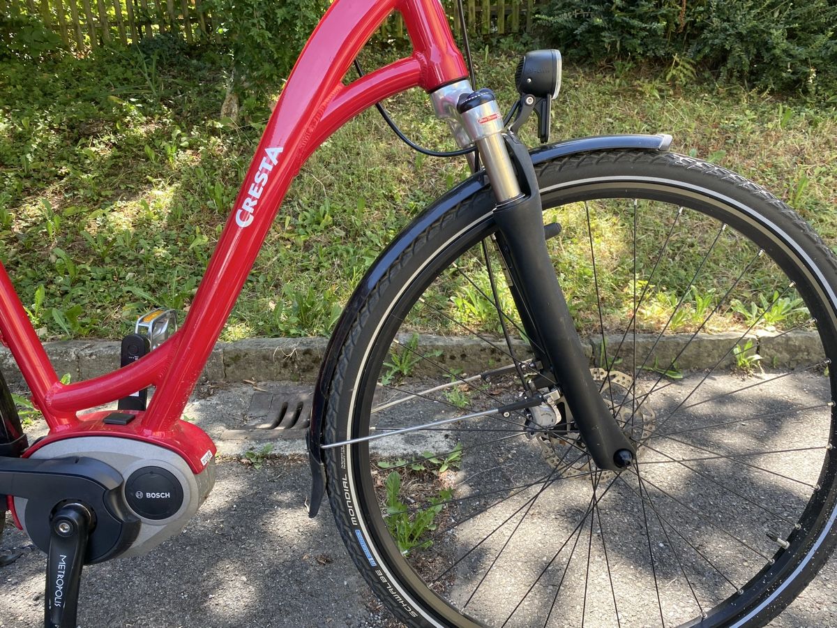 Cresta Biciclette: BOSCH CRESTA 25km – Usato da Luzern venduto da Goodmorning_16 3