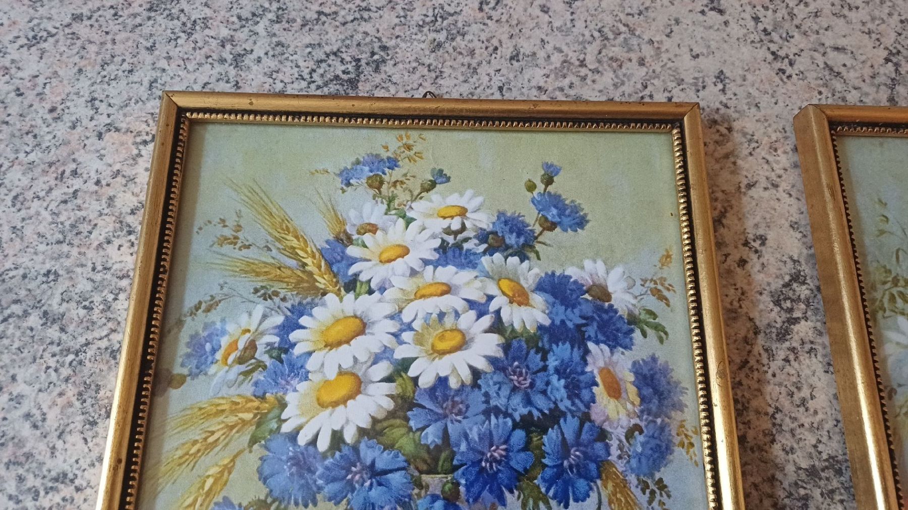 Foto & Immagini: 2 Schöne Blumenbilder – Usato da Flawil venduto da Pinkmalibu 3