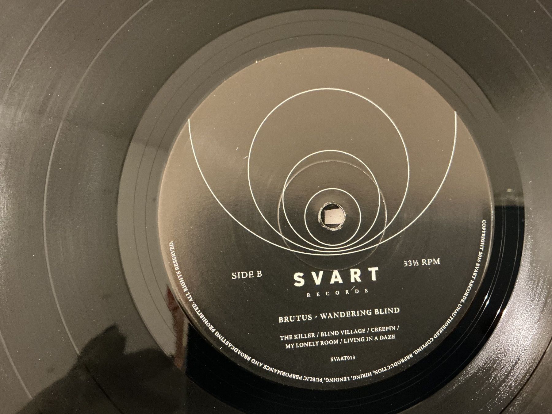 Dischi in vinile: Brutus LP - Wandering Blind – Usato da Winterthur venduto da Tumko-Vinyl 2
