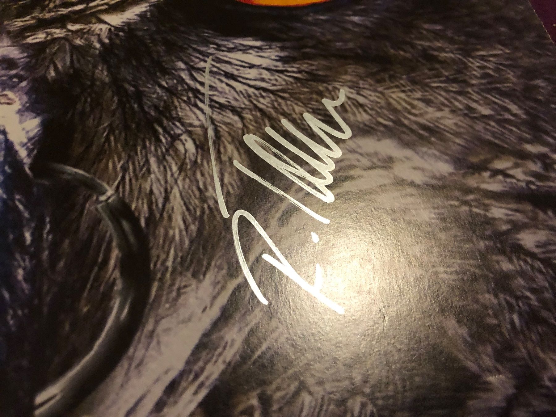 Autografi: Handsignierte Shakra LP – Usato da Lyss venduto da Spartan76 1