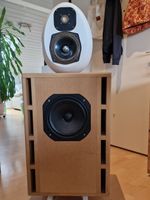 Focal Eigenbau Lautsprecher Boxen für Bastler