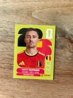 Panini FIFA 2026 BEL 4