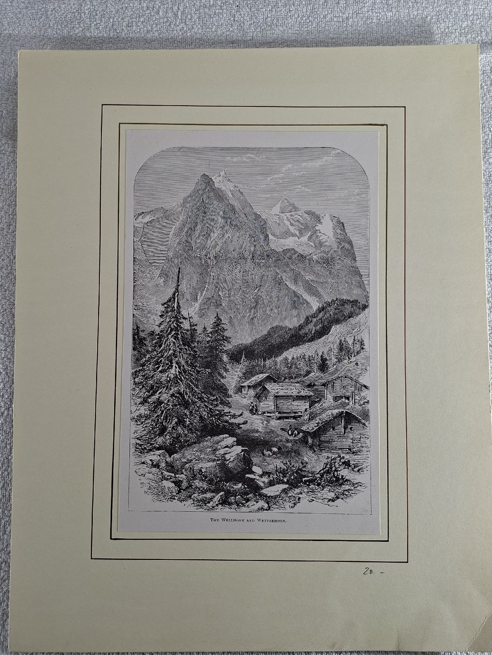 Incisioni: Lot 23, 5 Stiche – Usato da Grindelwald venduto da carro5 4