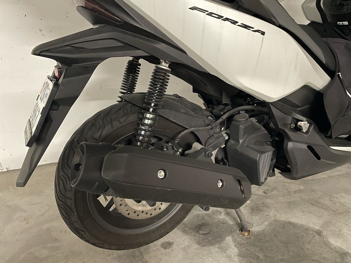 Honda Scooters: Honda Forza NSS 125 - AB SERVICE – Gebraucht aus Affoltern am Albis von BESTseller11 1