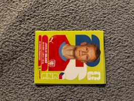 Panini Sticker CZE 6, Tschechien WM 2026