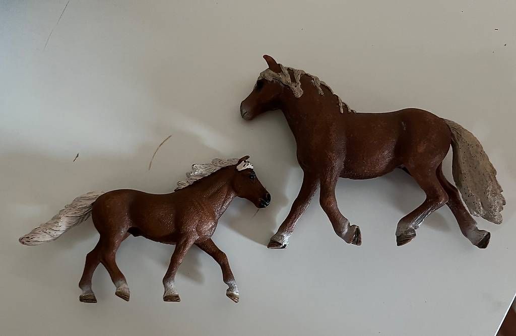 Giocattoli: Schleich Pferde – Usato da Liestal venduto da mel_hc8w 4
