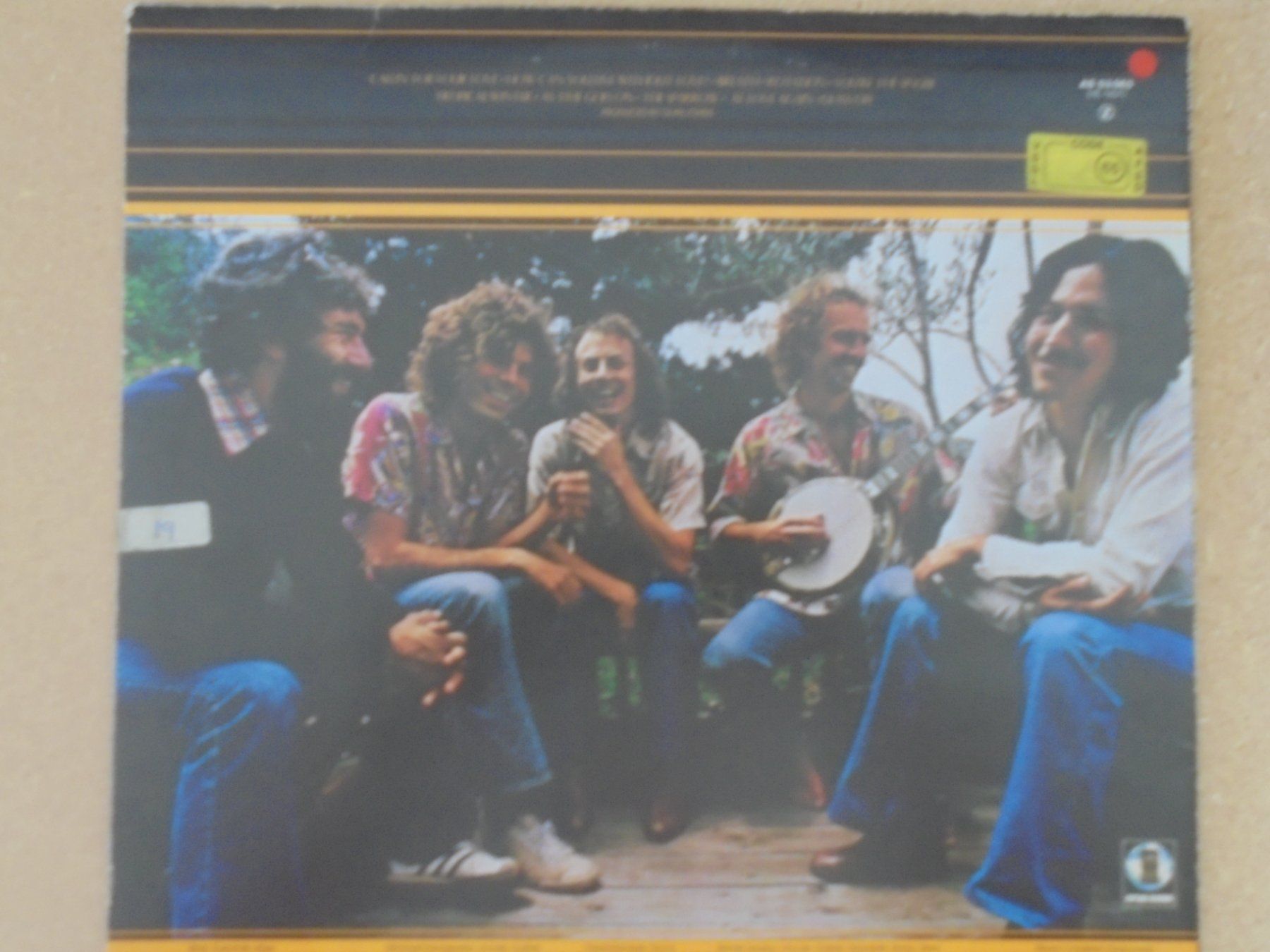 Dischi in vinile: Bernie Leadon & Michael Georgiades" Natural Progressions "LP – Usato da Crissier venduto da Promopost 1