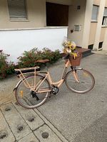 E-Bike lindsey Peach