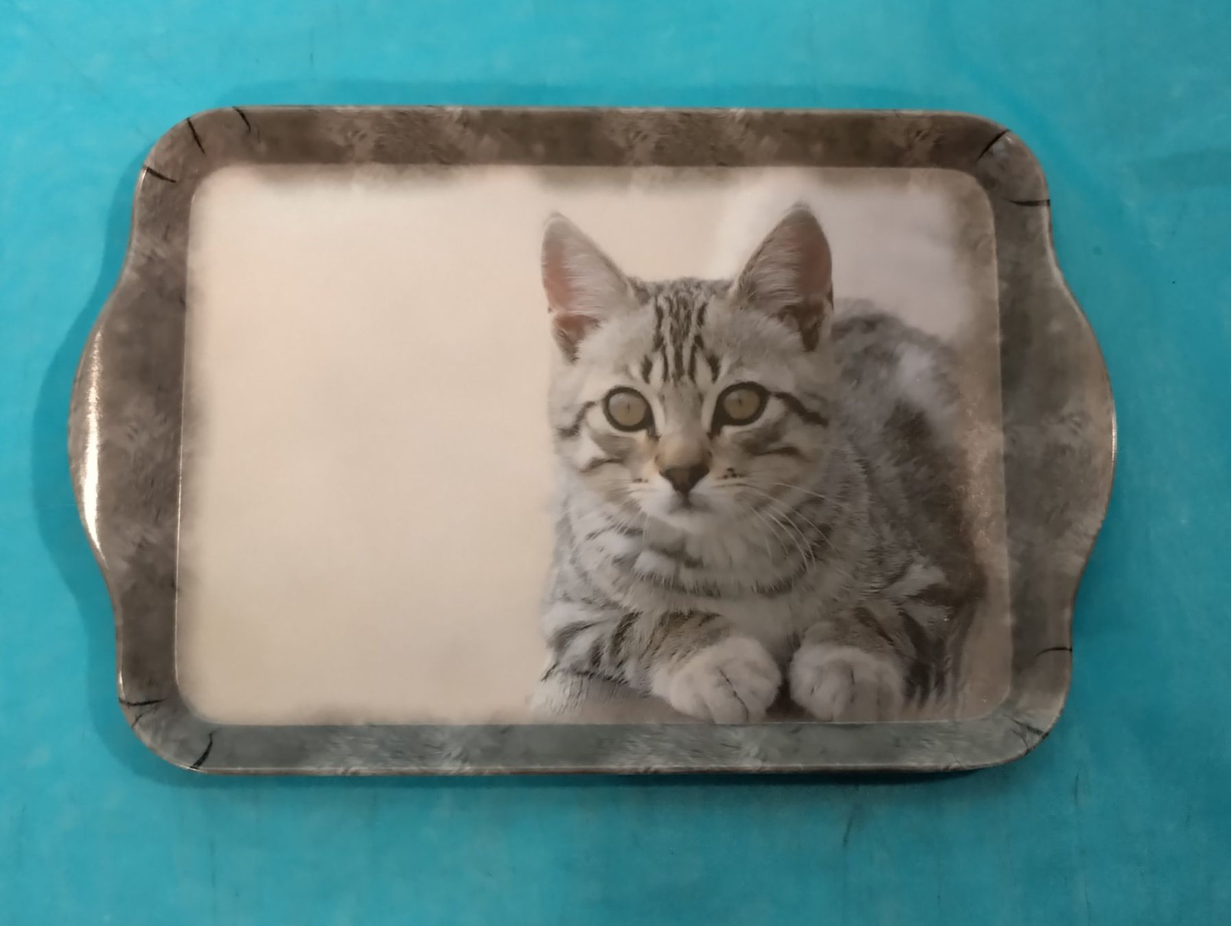 Piatti di portata: Serviertableau mit Katze, Tigerli – Nuovo (secondo la descrizione) da Bellach venduto da JingleCherry
