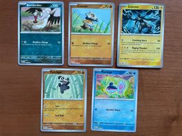 Pokemon Reverse Karten Set (Versand gratis)