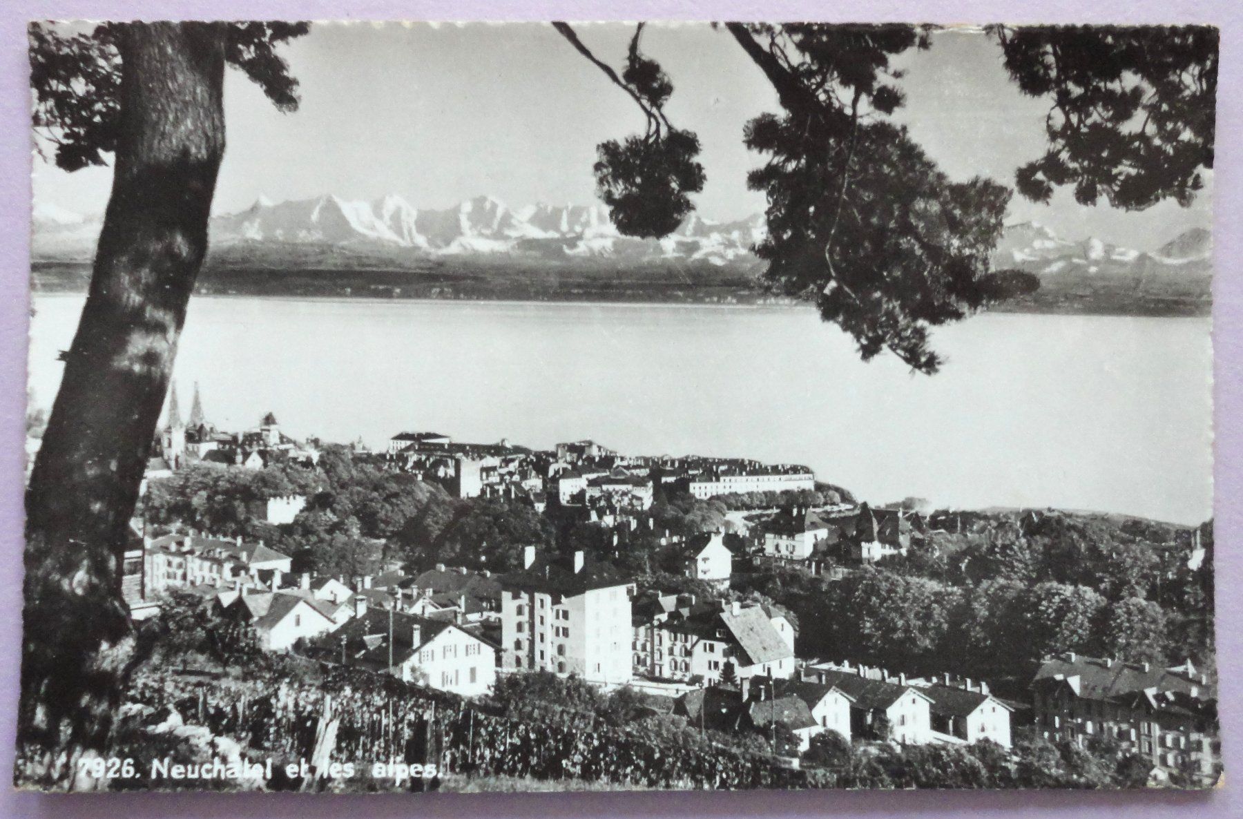Cartoline postali: Neuchâtel et les alpes – Usato da Fétigny venduto da Billy2miny