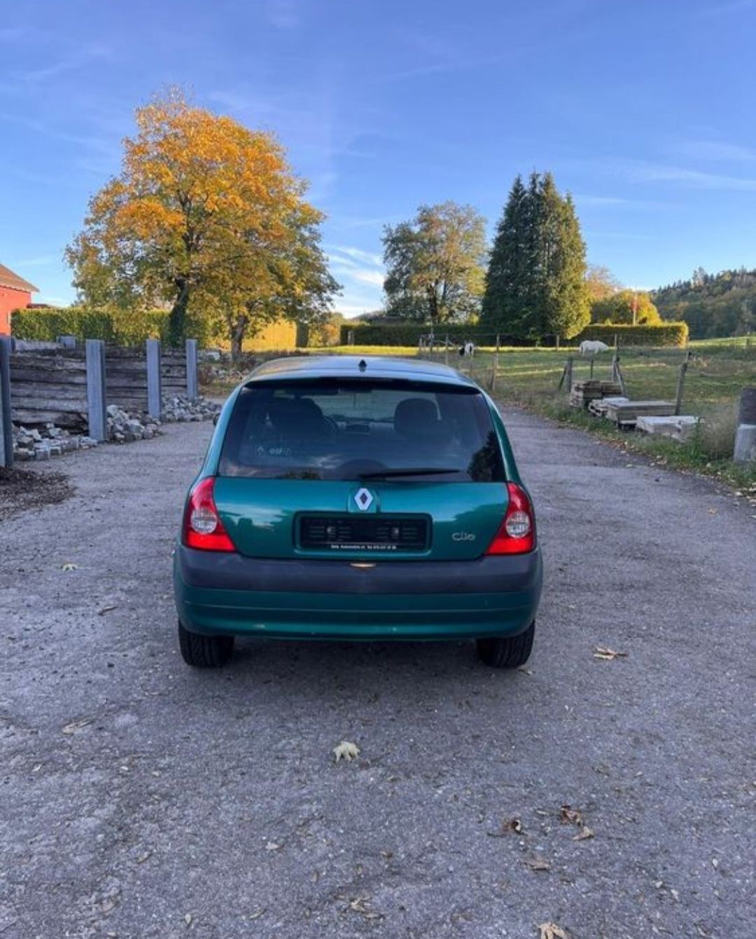 Renault Automobili: Renault Clio  – Usato da Elgg venduto da Kunkuru 2