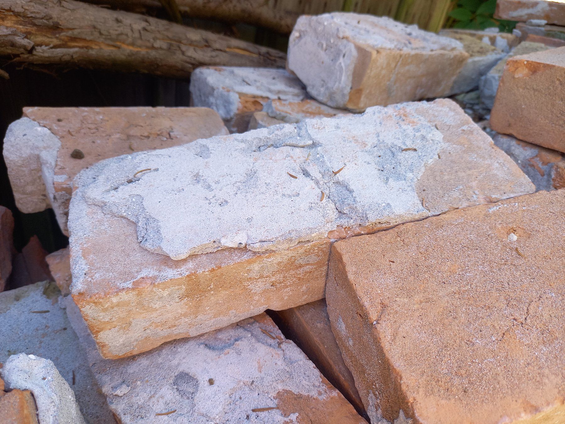 Pierres & tuiles: Ziegelsteine, gebraucht – D'occasion à Lutzenberg par Tigahamsta