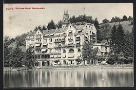 AK Hertenstein /LU, Schloss-Hotel am See