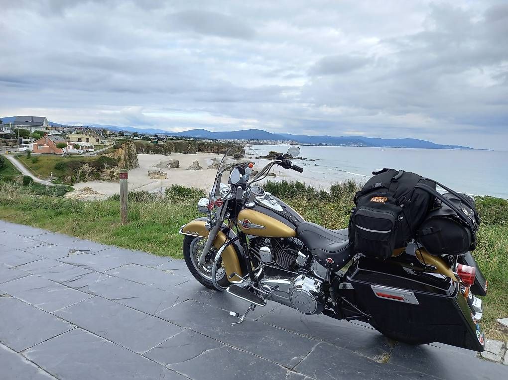 Cruisers: Sehr gepflegte Harley – D'occasion à Wiler par ber_2b29 1