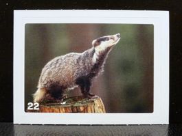 MIGROS MANIA Nature Detectives Nr. 22