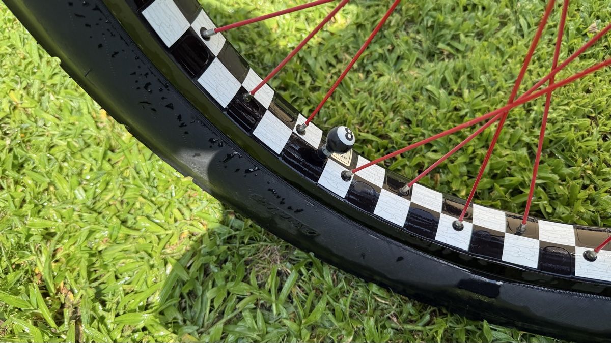Biciclette: Electra Cruiser Bike Straight 8 Speed  – Usato da Zürich venduto da ricmp007 3