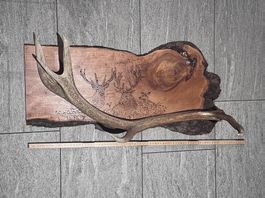 Hirschgeweih auf Massivholz  rustikale Jagd-/Chalet-Deko