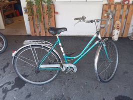 3 Gang Velo