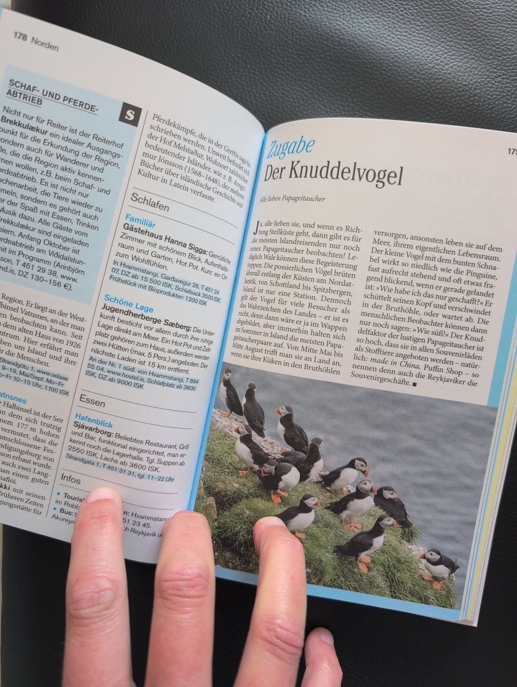 Libri: Reiseführer ISLAND von Dumont – Usato da Lanzenhaeusern venduto da Schimpanse09 2