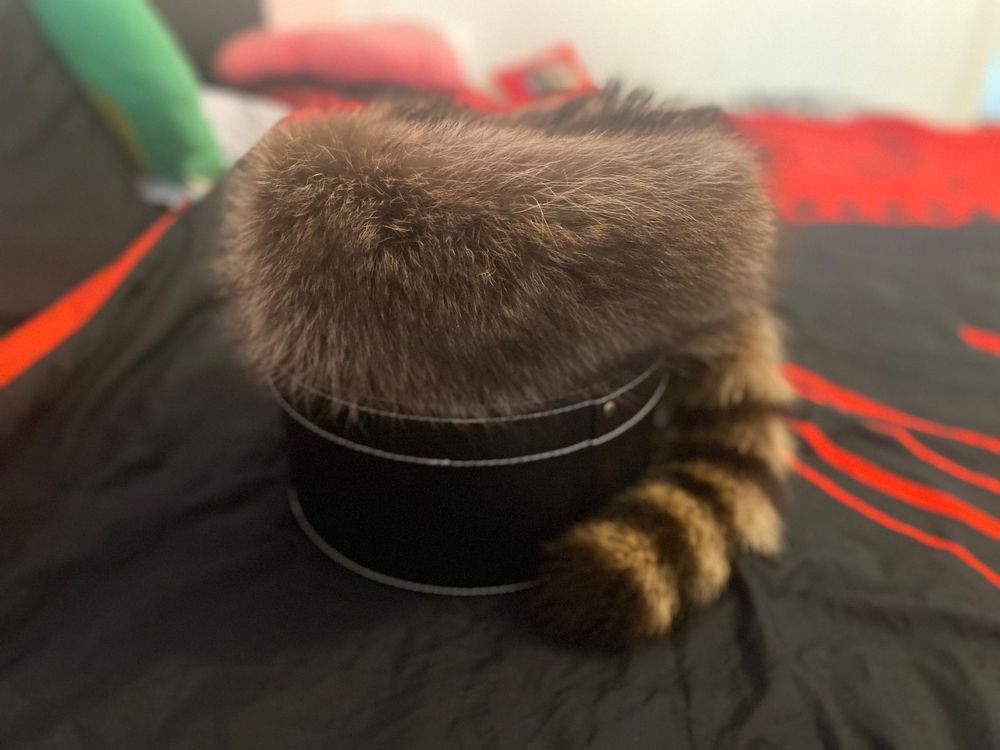 Chapeaux, bonnets & casquettes: Waschbärmütze – D'occasion à Wöschnau par ramires_guitar