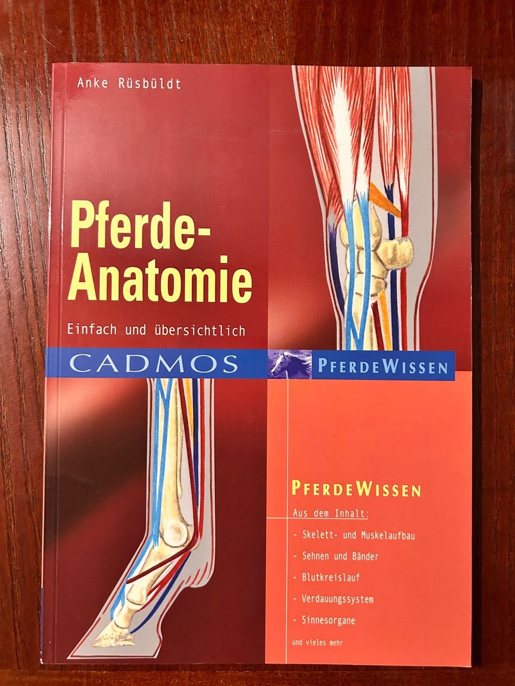 Libri: Pferde-Anatomie von Anke Rüsbüldt – Usato da Benglen venduto da silversun79