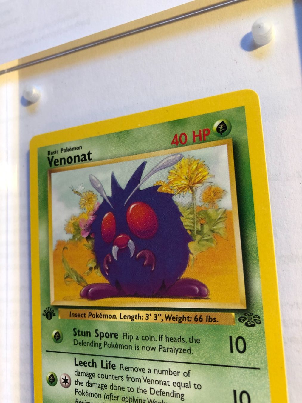 Sammelbilder & Trading cards: Venonat 1st Jungle - MINT - ab 1.- – Gebraucht aus Giubiasco von dan_pr8b 3