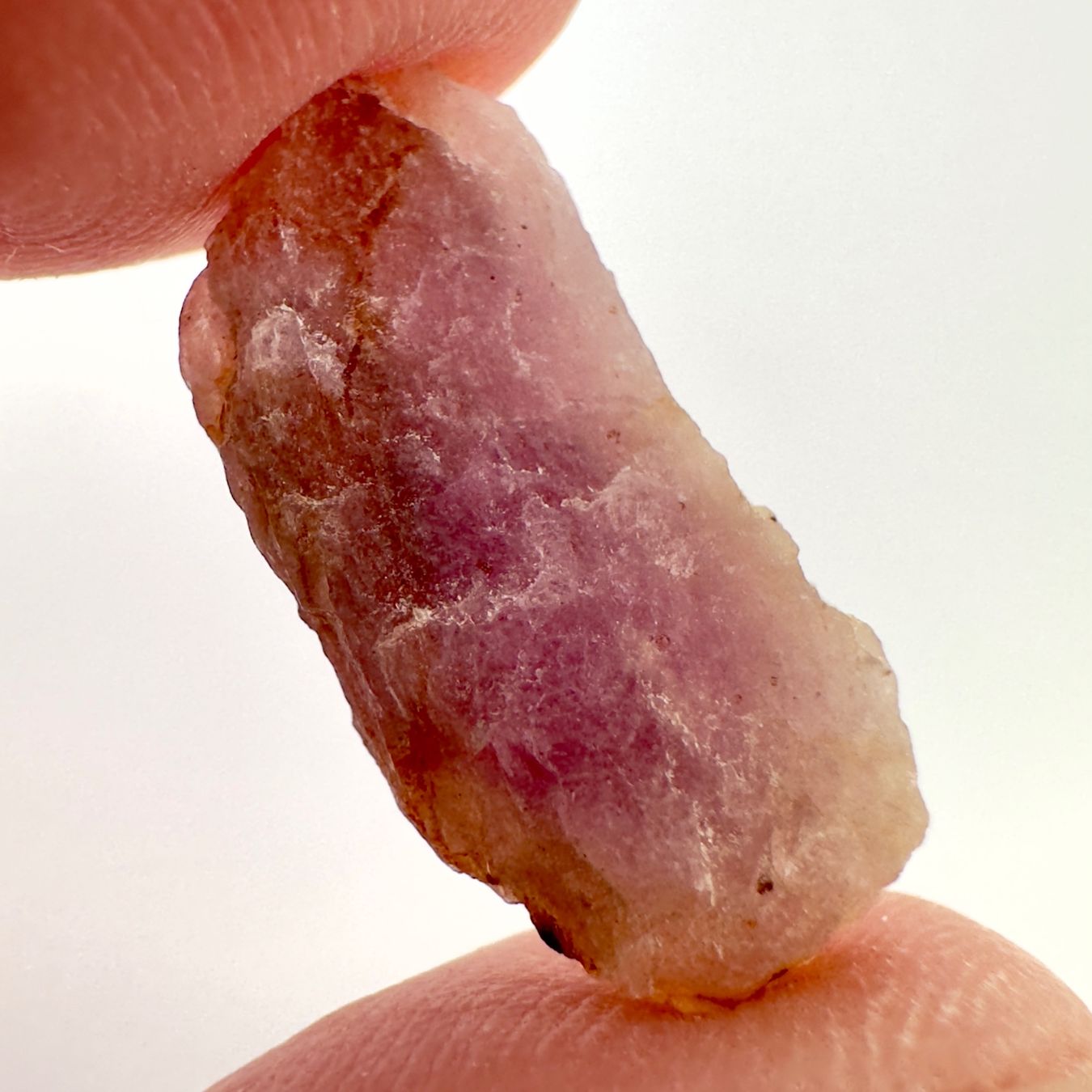 Minerali & Pietre curative: Natural Hackmanite - 8.33 ct - Afghanistan – Nuovo (secondo la descrizione) da Zürich venduto da Yoohooz