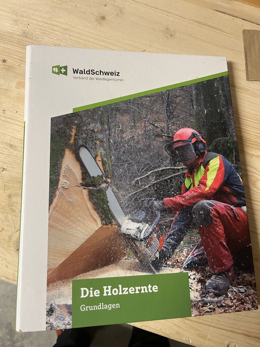 Libri: Die Holzernte Grundlage Ordner 2019 – Usato da Adelboden venduto da Fuhrer9394