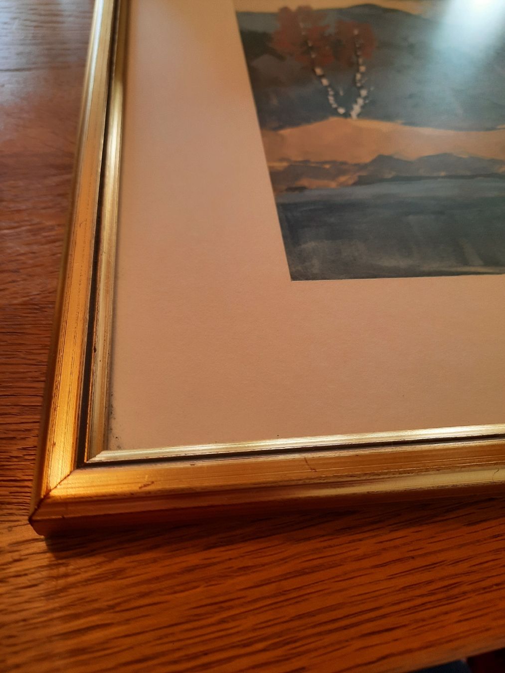 Foto & Immagini: Aquarell-Bild – Usato da Busswil BE venduto da balu37 2