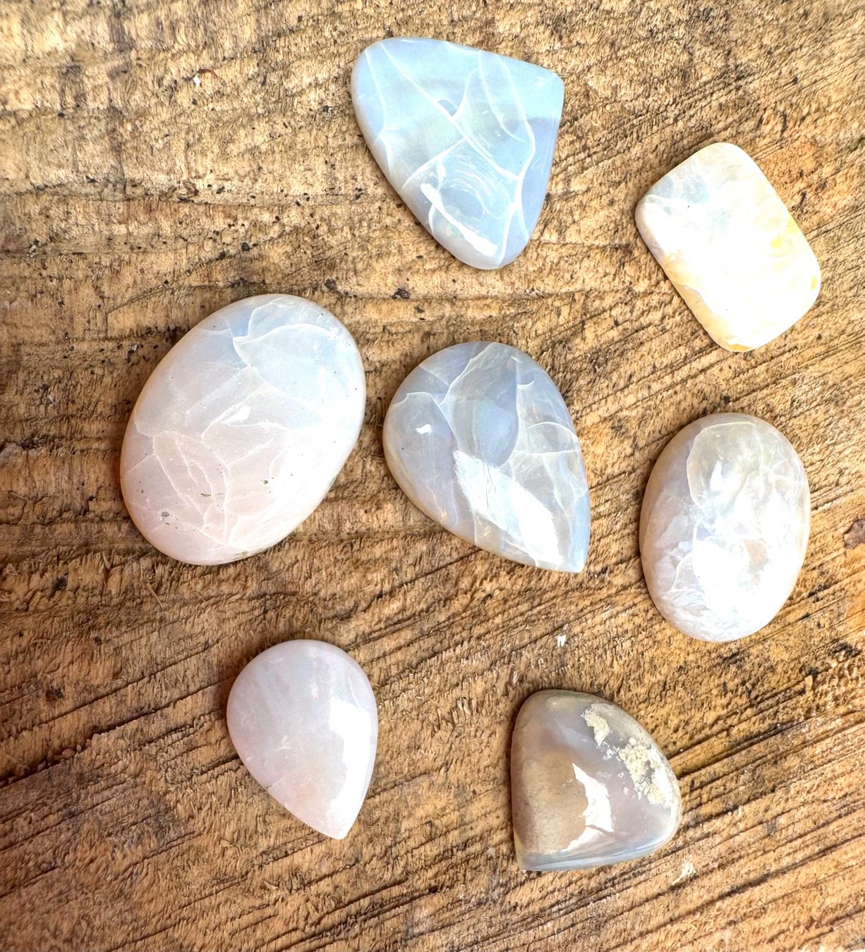 Fossilien: 7 Stk  Cabochons Opal echt  neu gross    LOT  Sammlung – Neu und originalverpackt aus Leuggern von gemshow 2