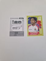 Panini Sticker HAI4