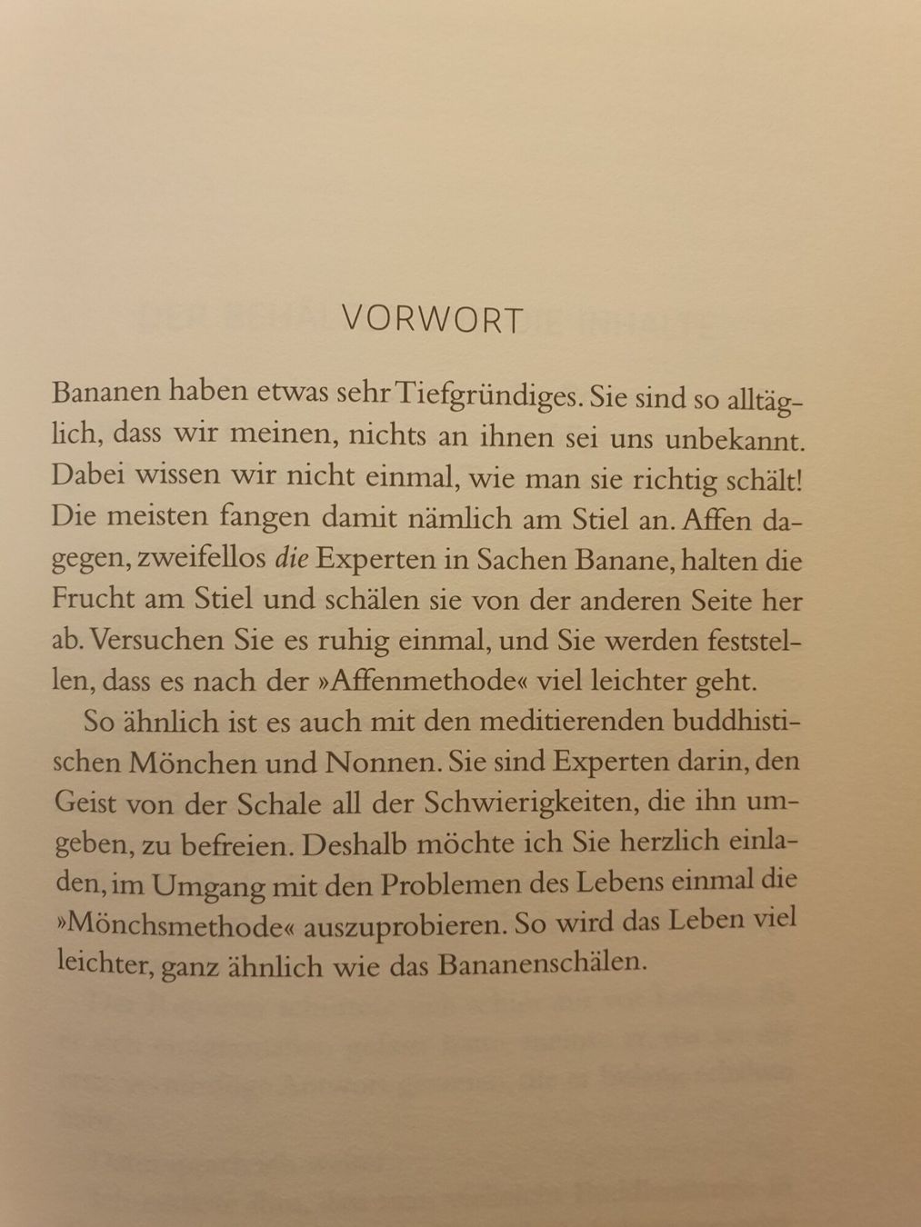 Libri: Der Elefant, der das Glück vergass - Ajahn Brahm – Usato da Zürich venduto da loosebone 6